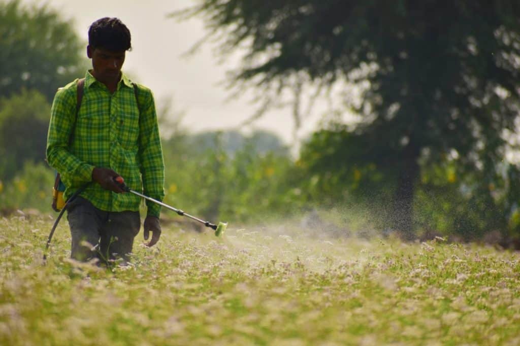 A man sprays pesticides as he walks through a field. 