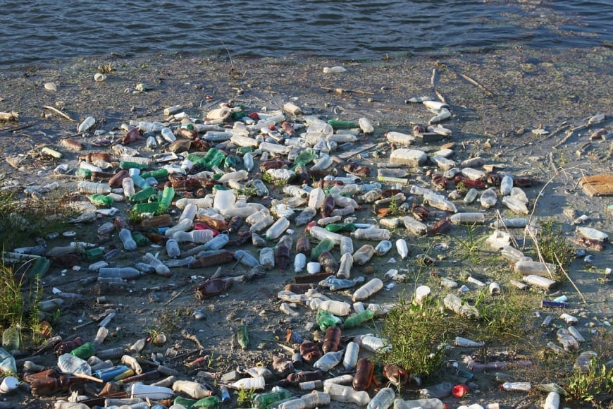 Single-use plastic bottles and containers collect at the shore of a polluted lake.